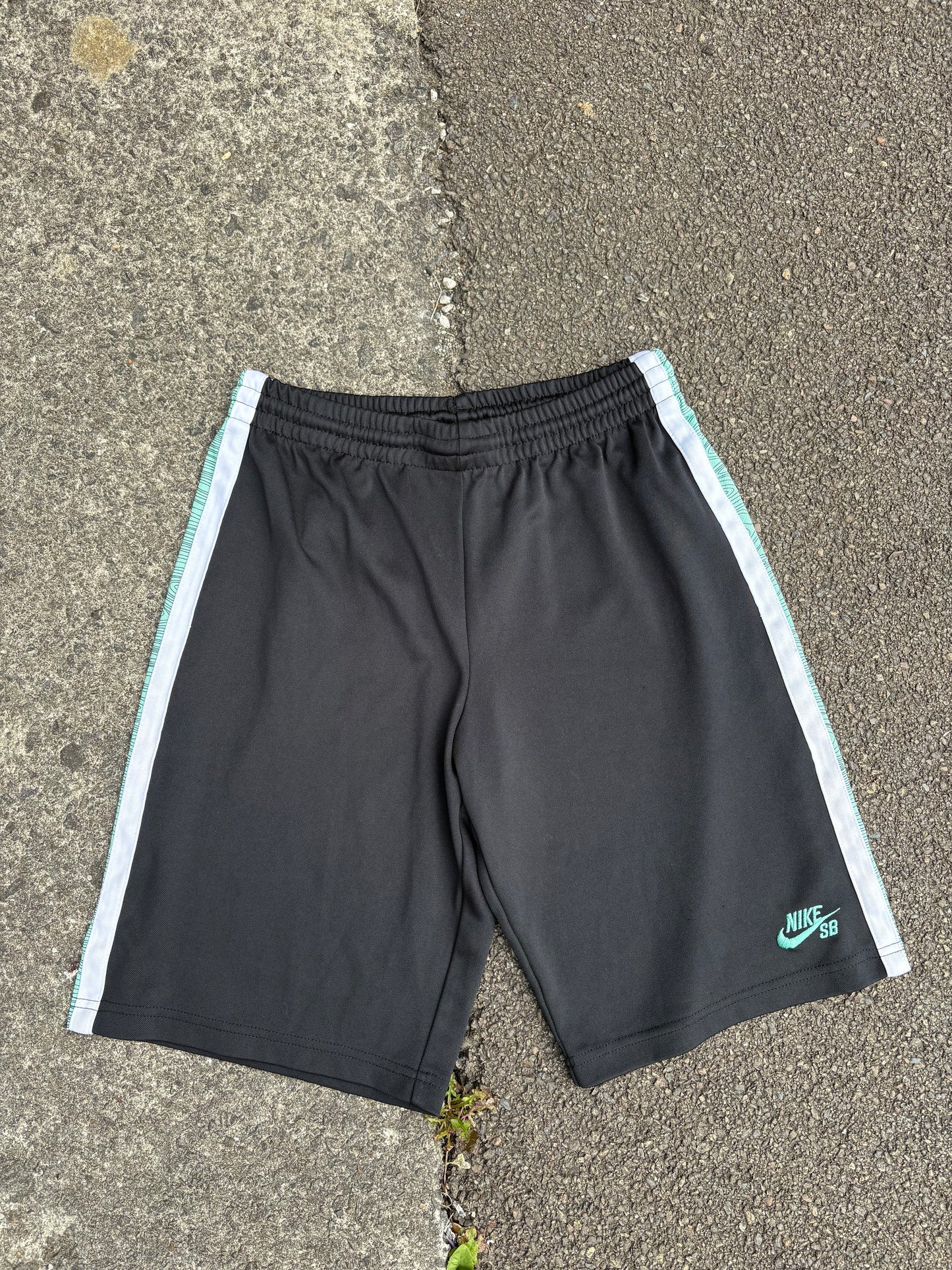 Nike SB Mint Green Shorts