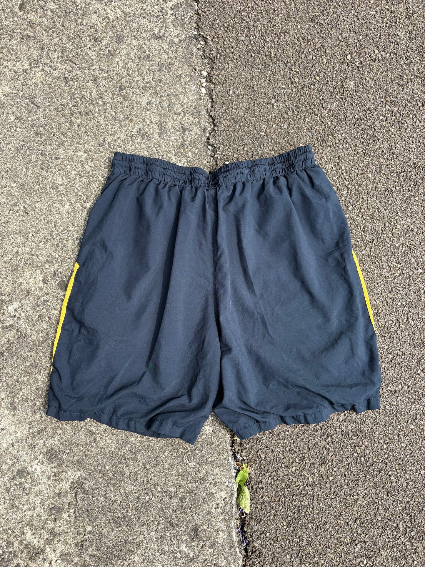 Nike Blue & Yellow Running Shorts