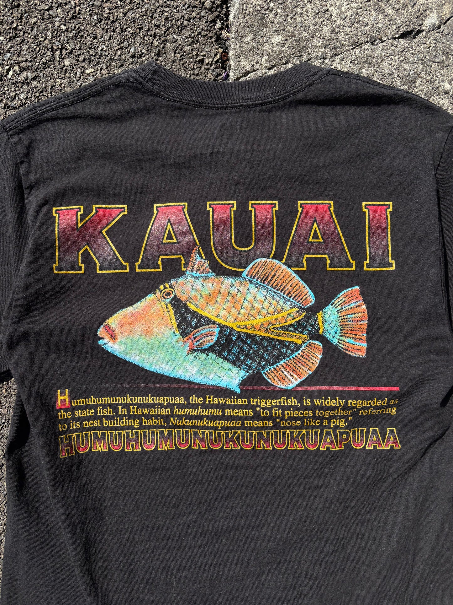 Vintage Hawaii Tigerfish Tshirt