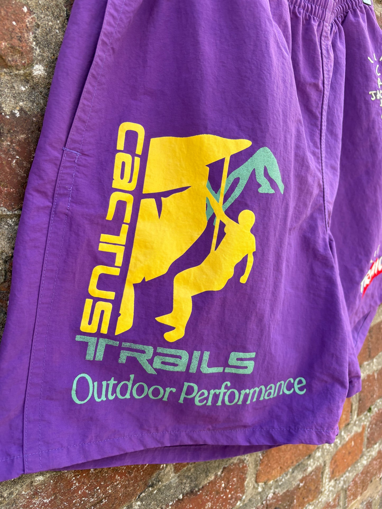 Cactus Trails Purple Climber Shorts
