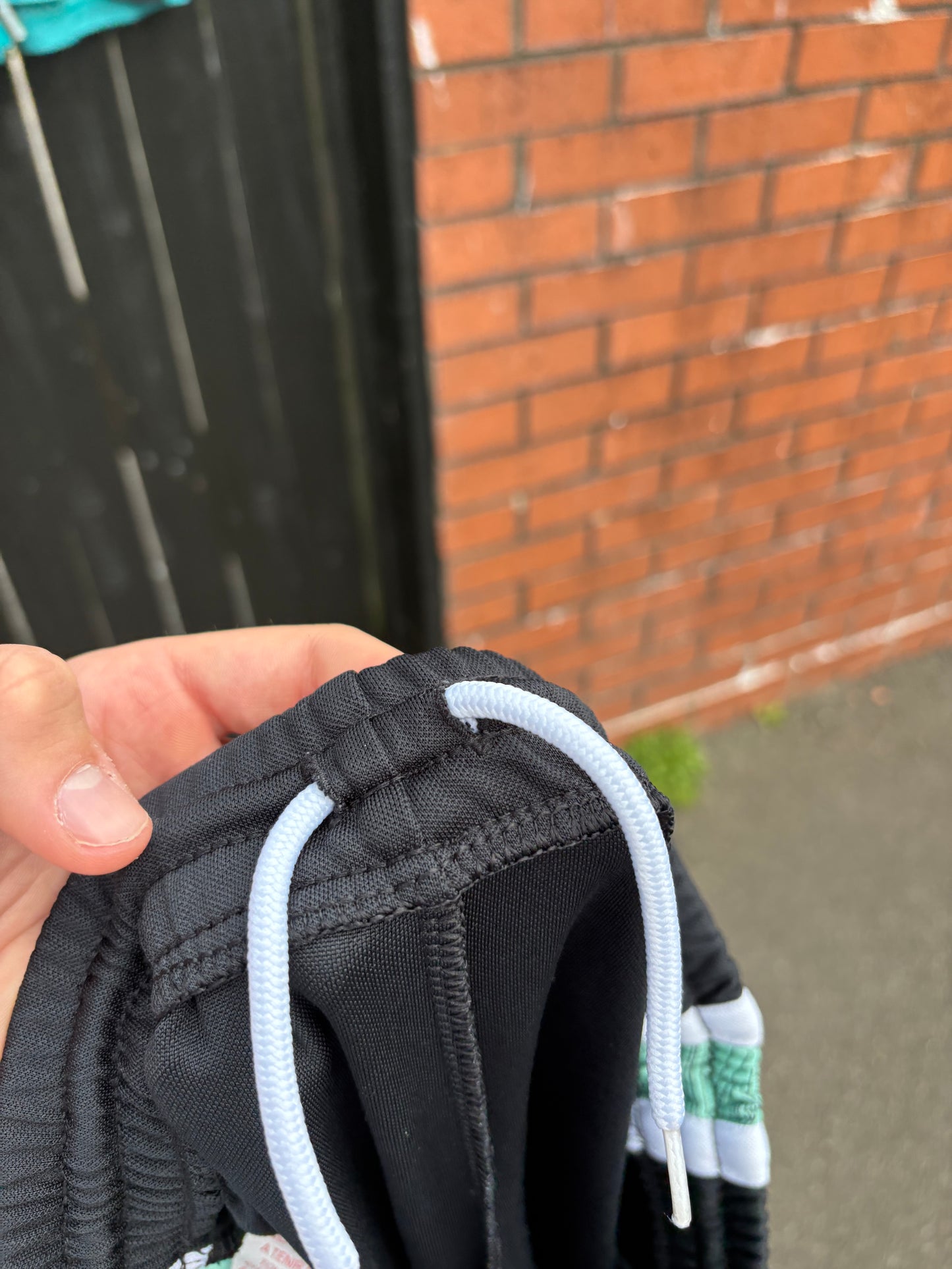 Nike SB Mint Green Shorts