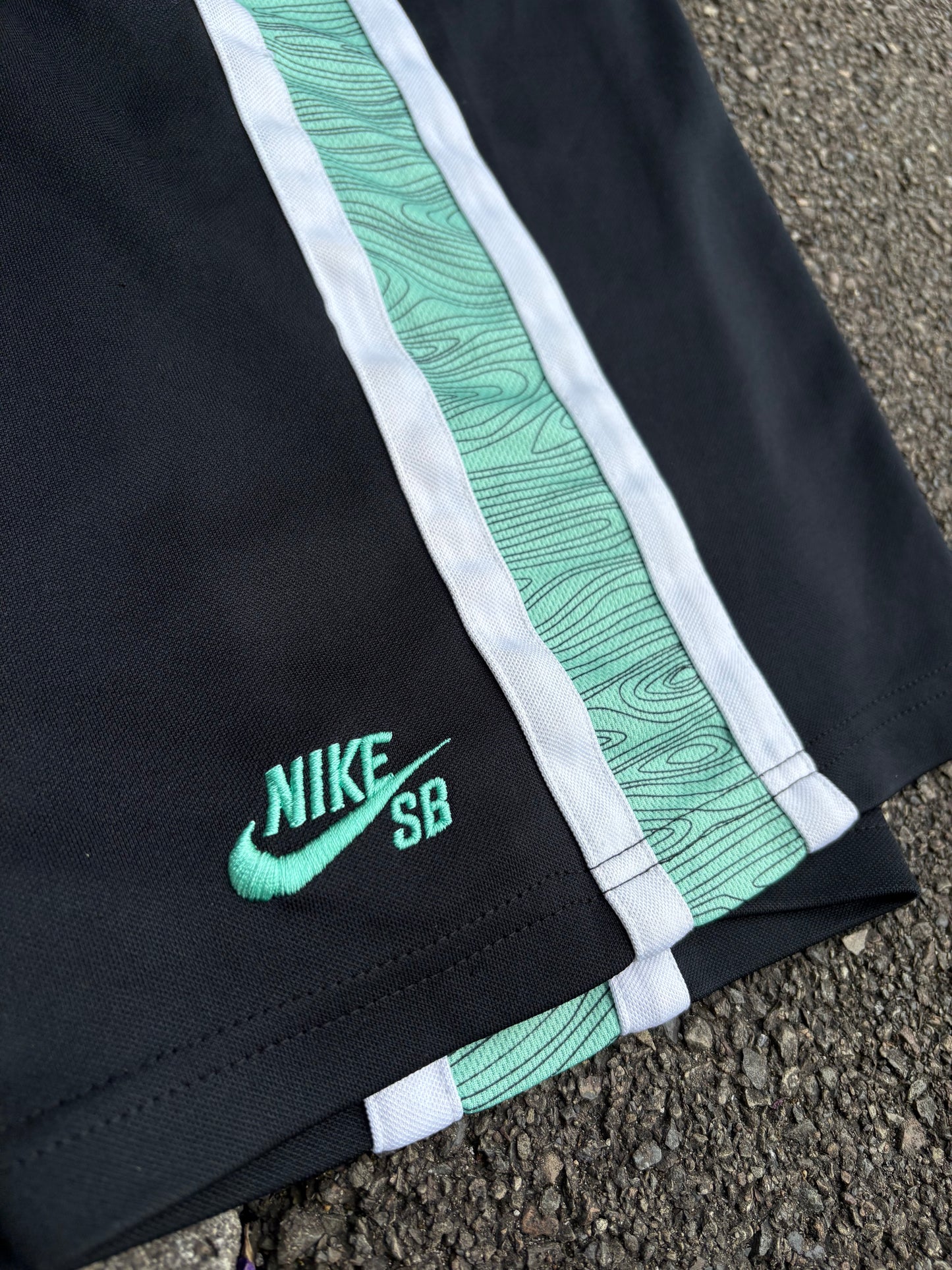 Nike SB Mint Green Shorts