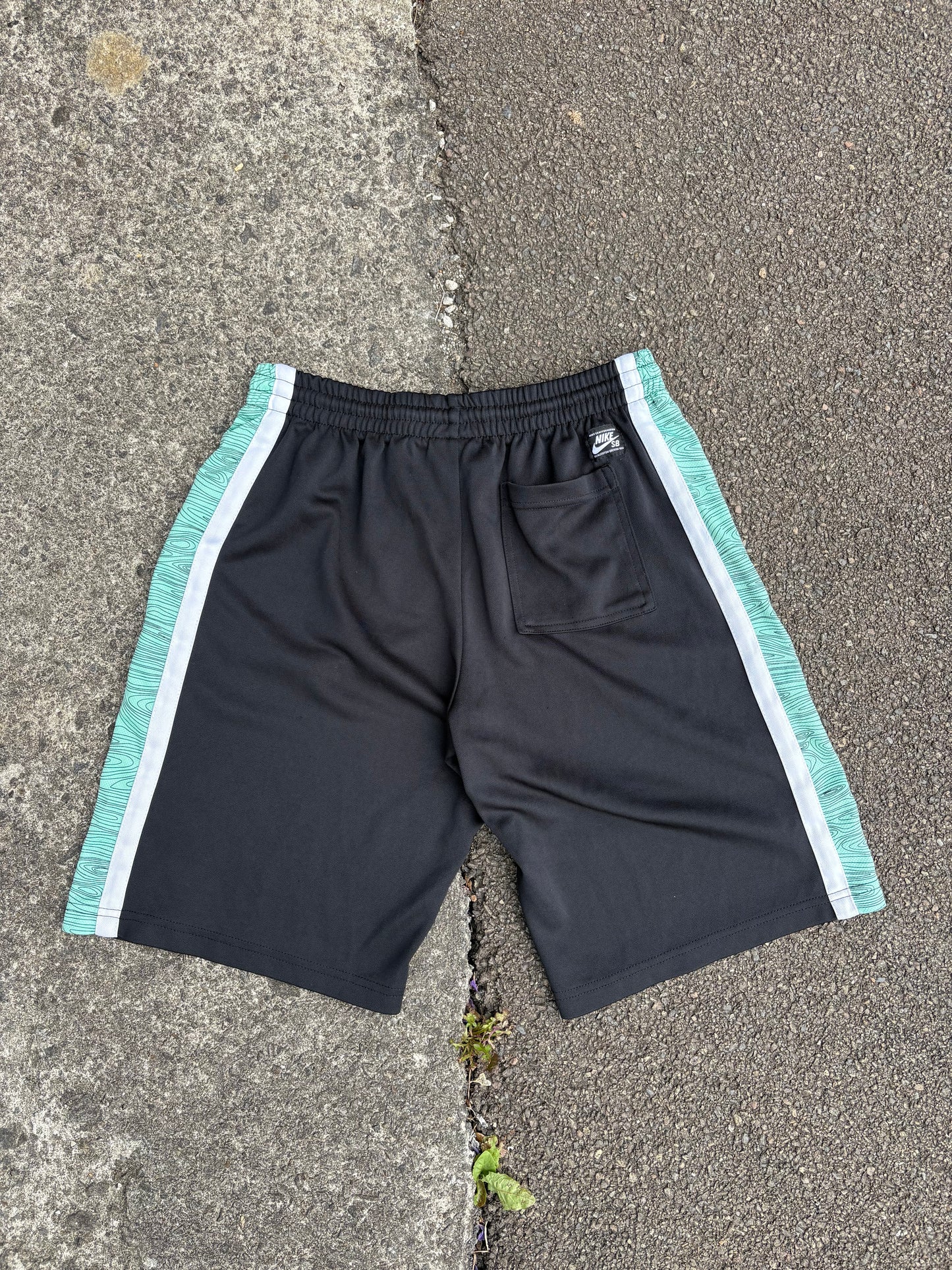 Nike SB Mint Green Shorts