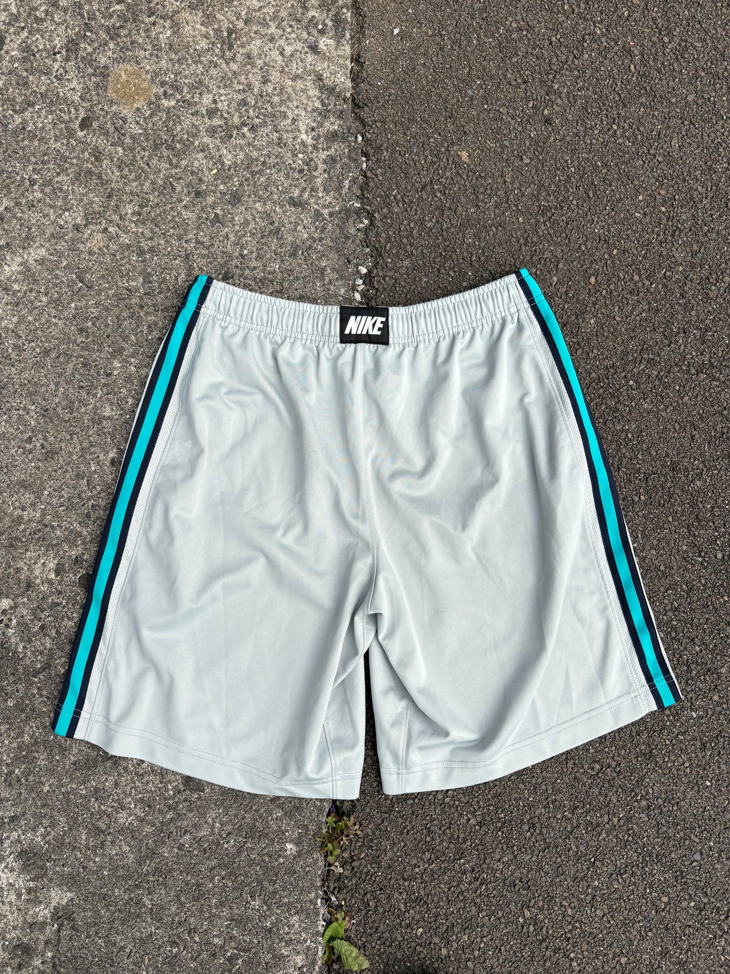 Nike Sea Green Shorts