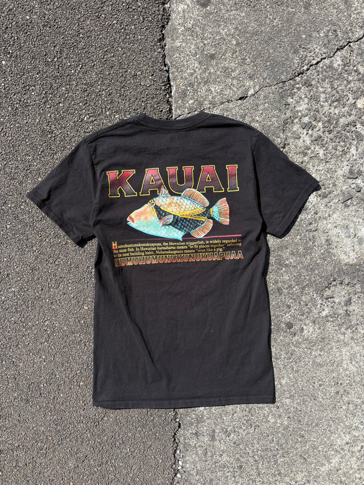 Vintage Hawaii Tigerfish Tshirt