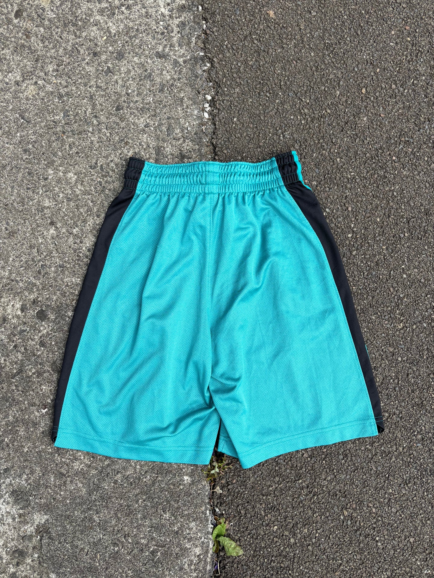 Nike Elite Teal Training Shorts