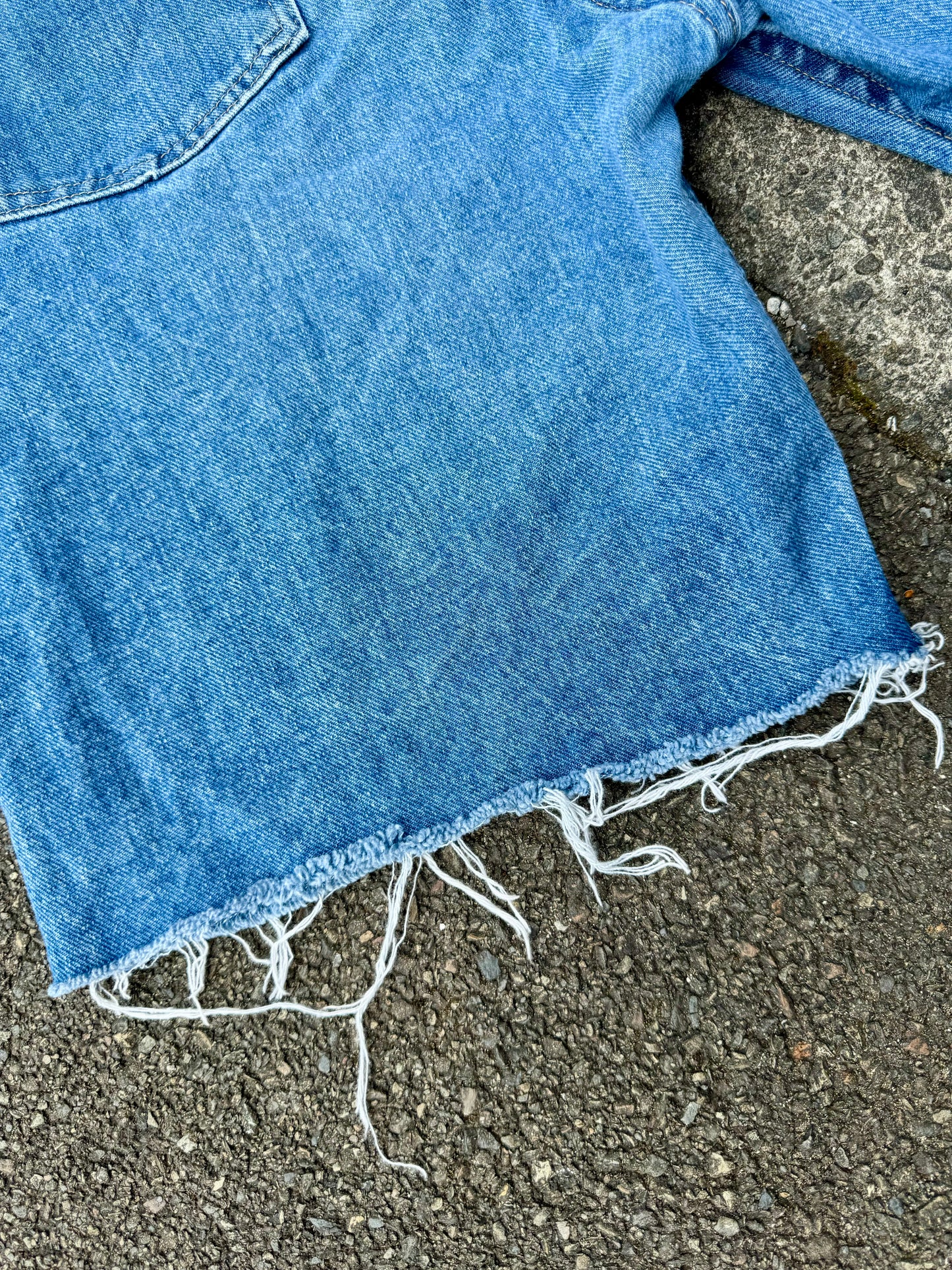 Vintage Wrangler Denim Jorts