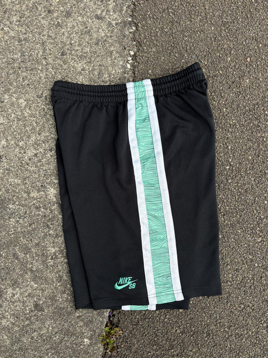 Nike SB Mint Green Shorts